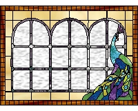 (image for) Peacock 5